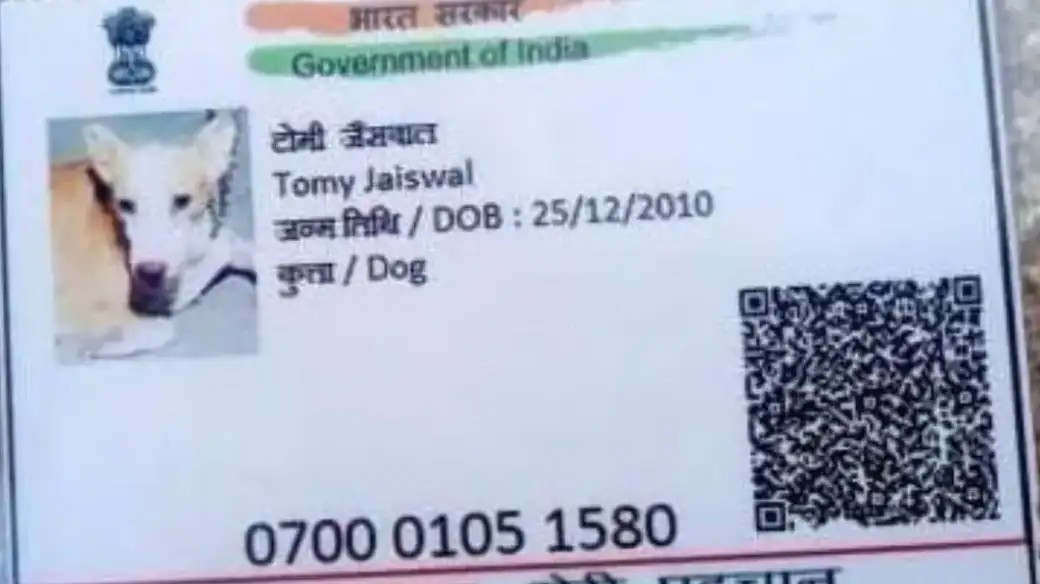 印度人到底是怎么撸网贷的？